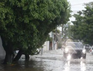 4_Nacionales_05_1p02-1