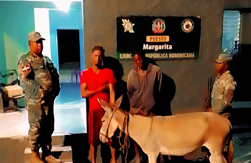 Burro-robado-e1749738721245-800x519-1