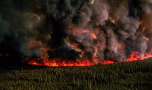 incendios-forestales-en-Canada-1140x675-1
